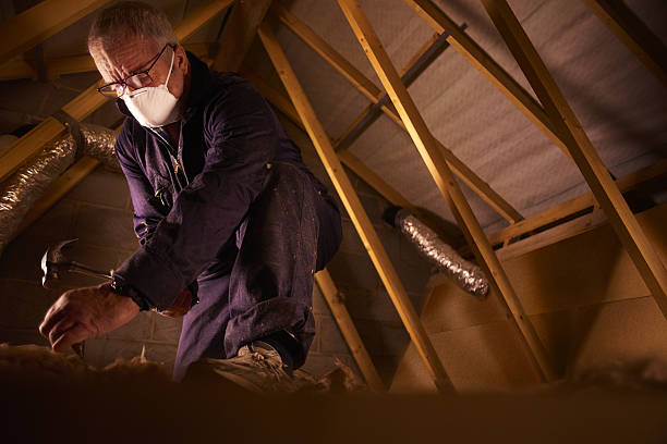 Best Insulation Removal Services  in Crump, TN